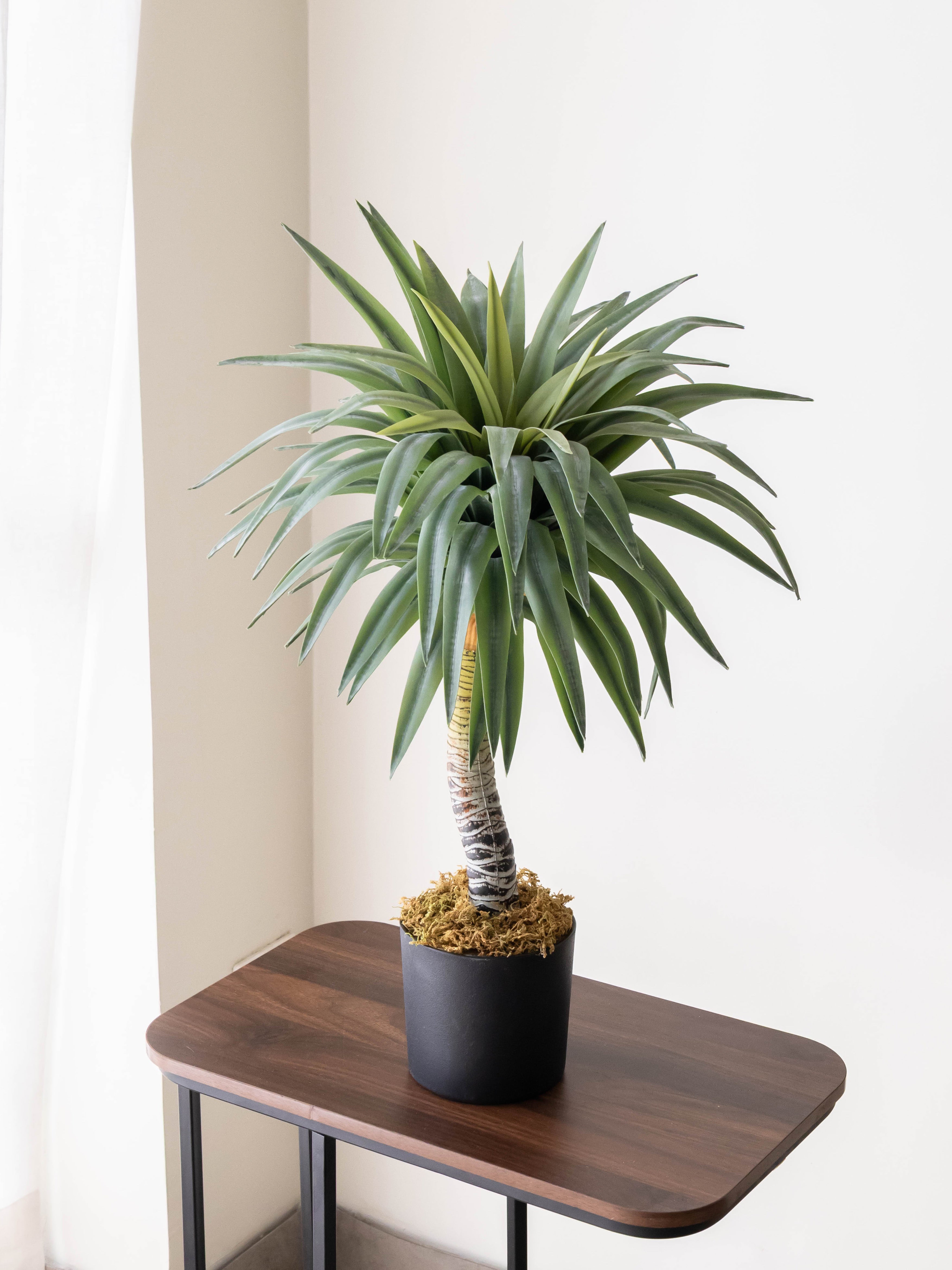 Artificial Real Touch Yucca Plant 2.3ft
