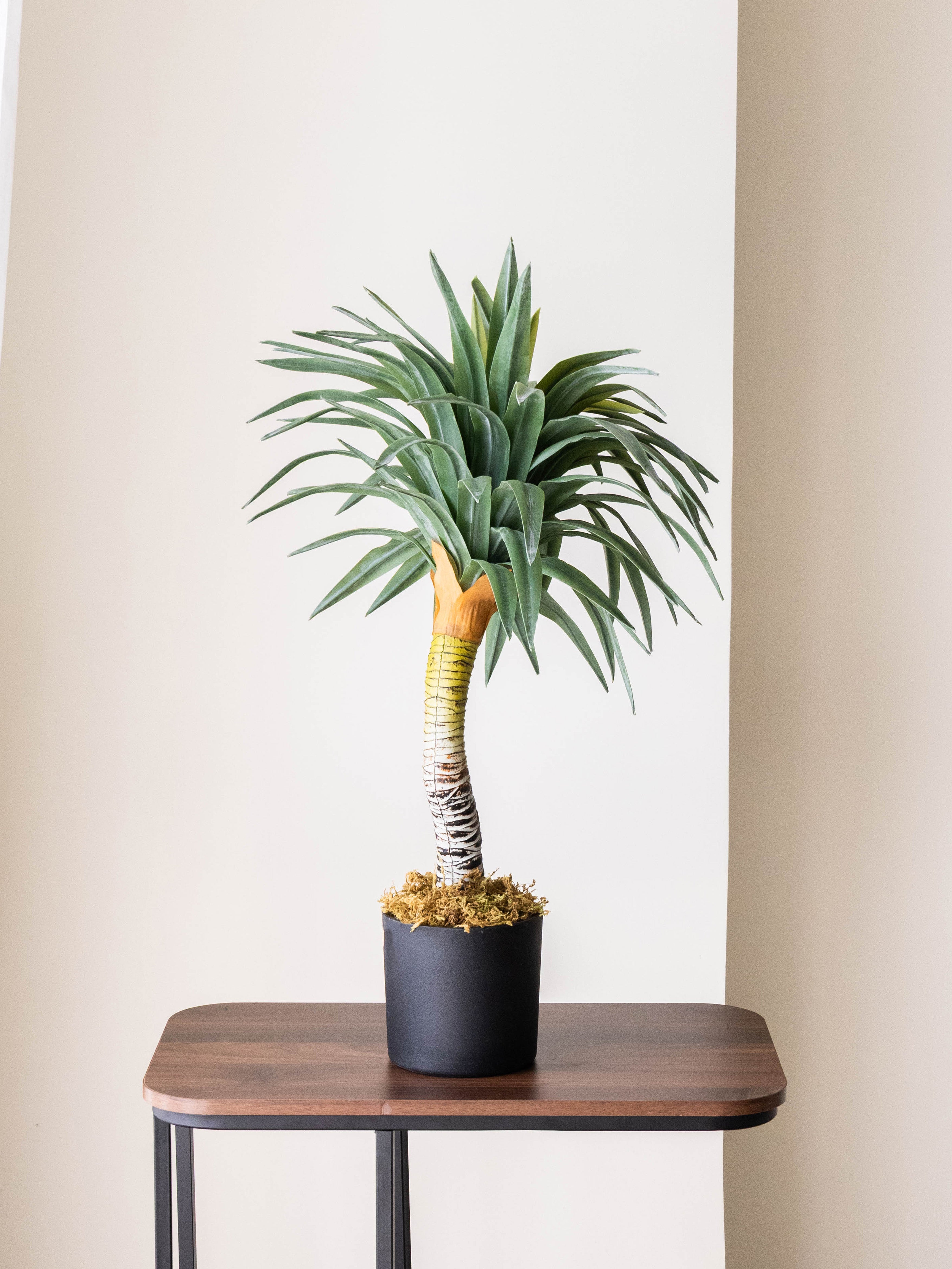 Artificial Real Touch Yucca Plant 2.3ft
