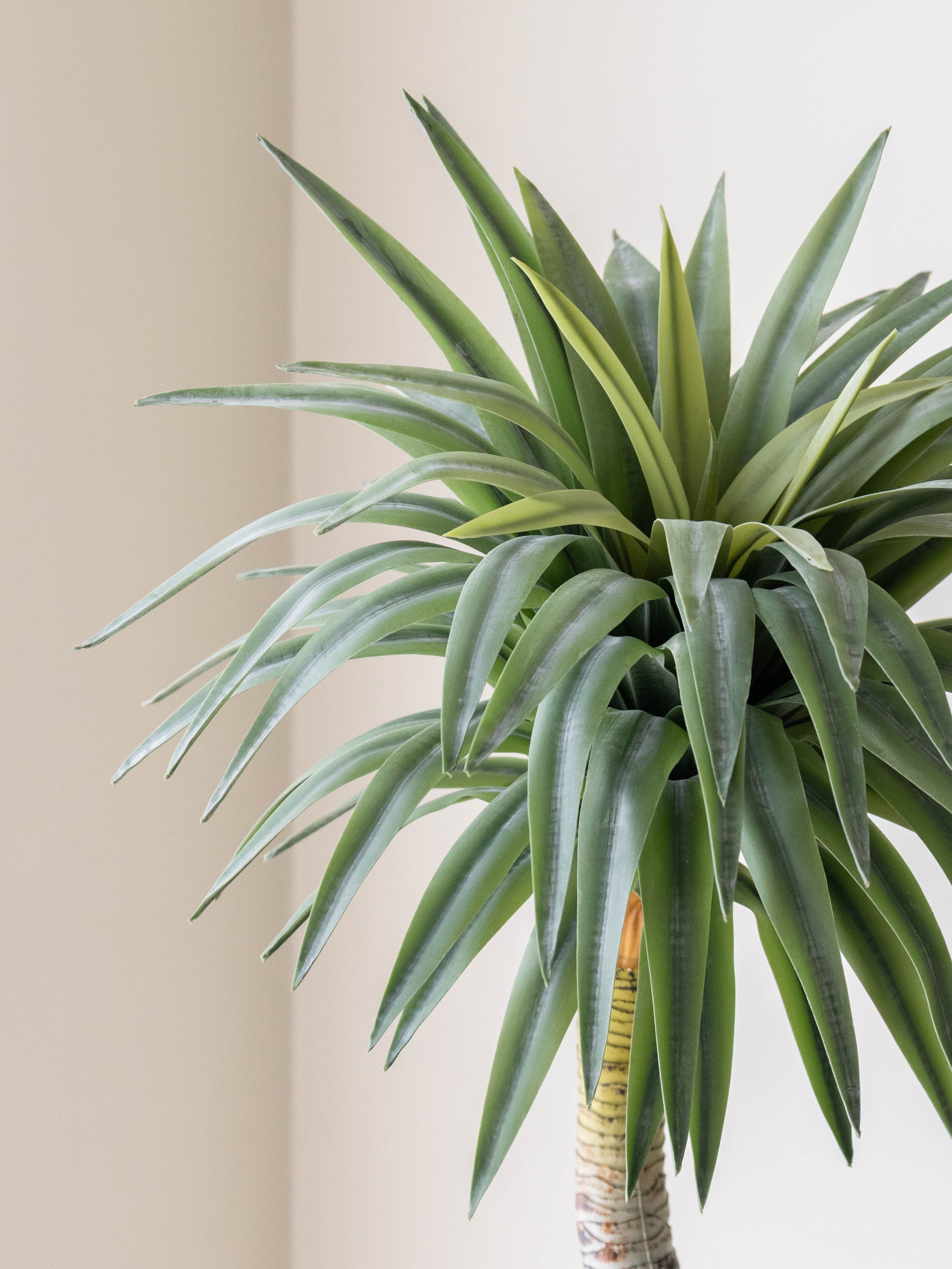 Artificial Real Touch Yucca Plant 2.3ft