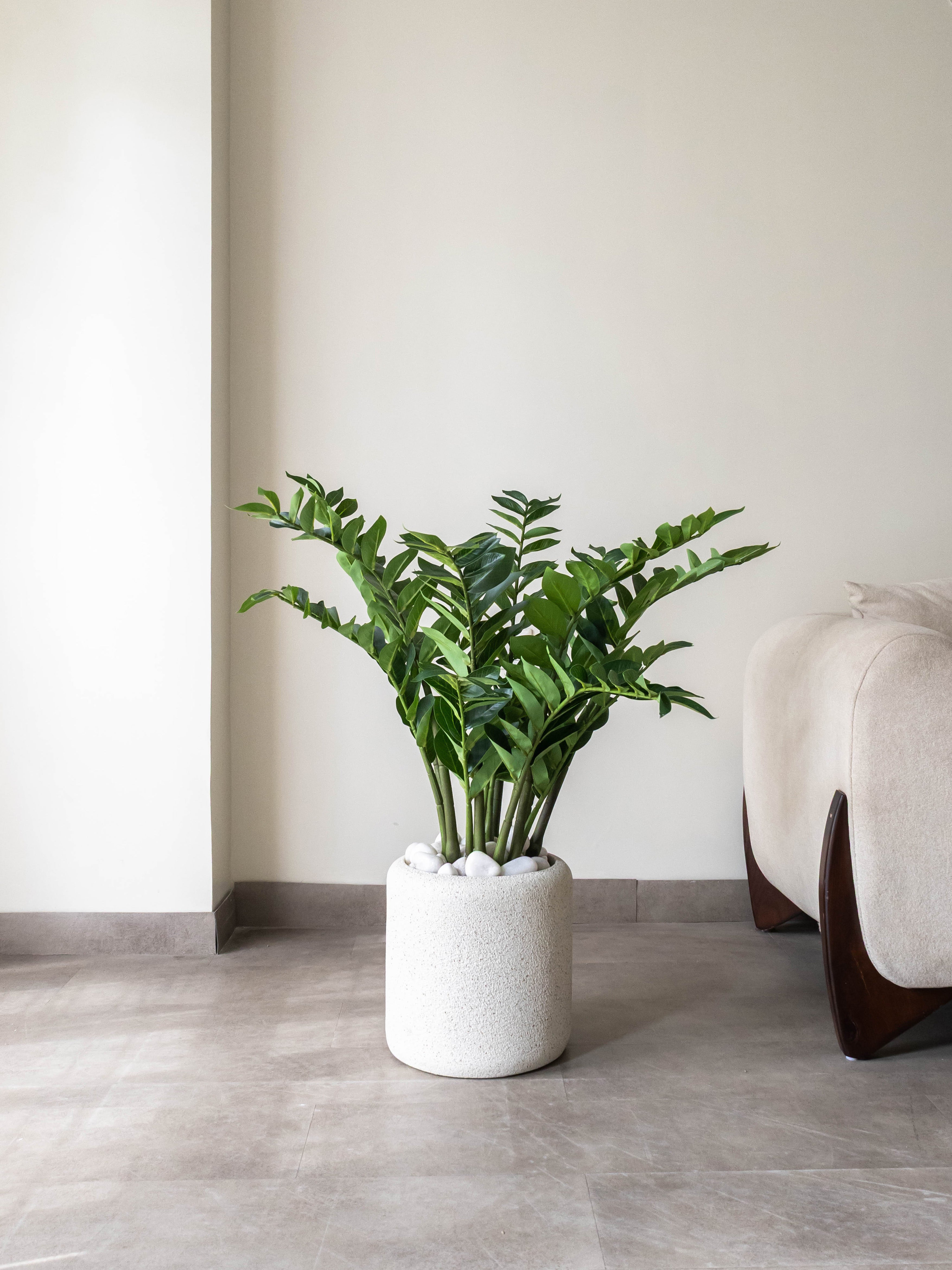 Artificial ZZ Plant 3ft