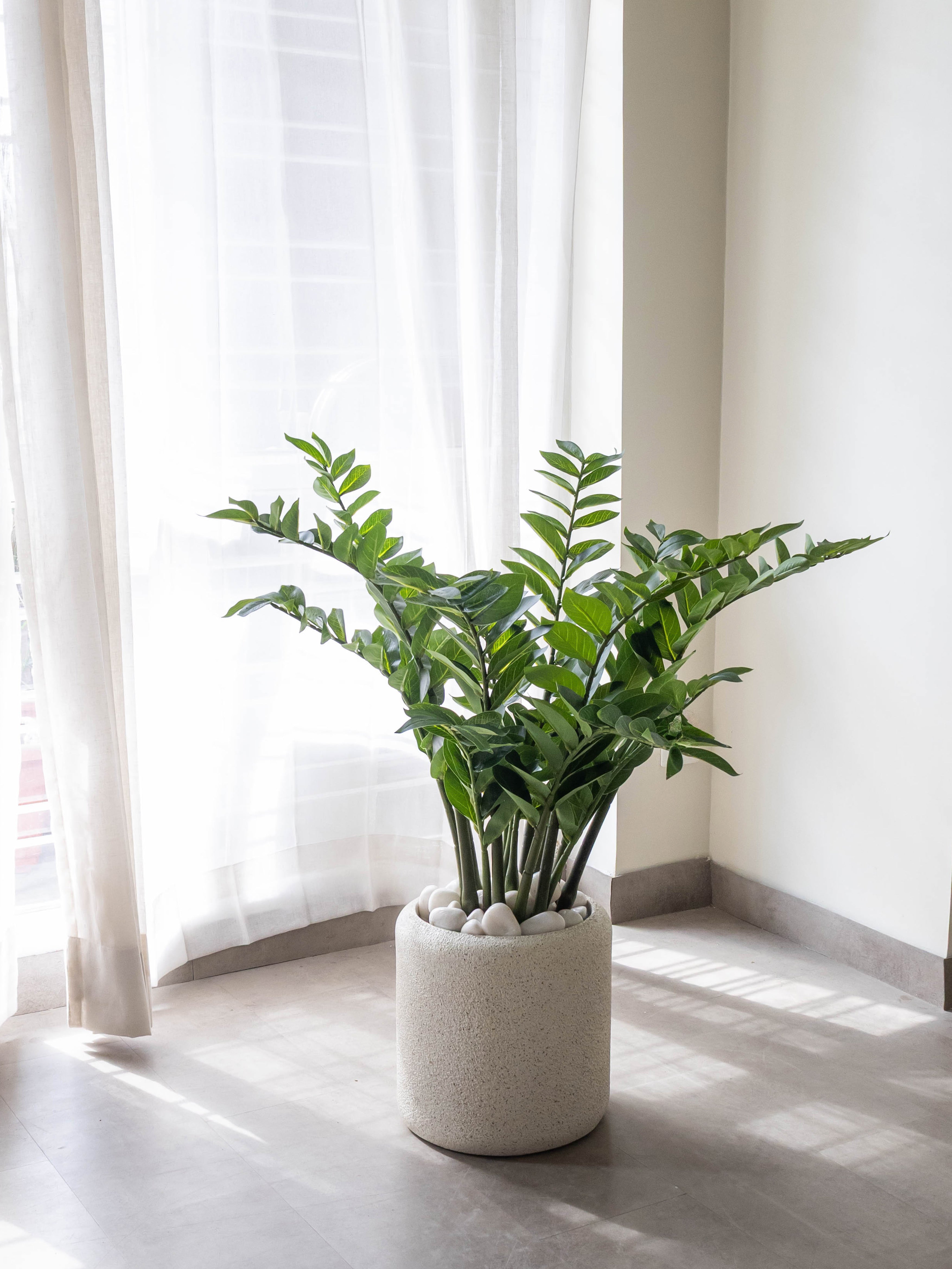 Artificial ZZ Plant 3ft