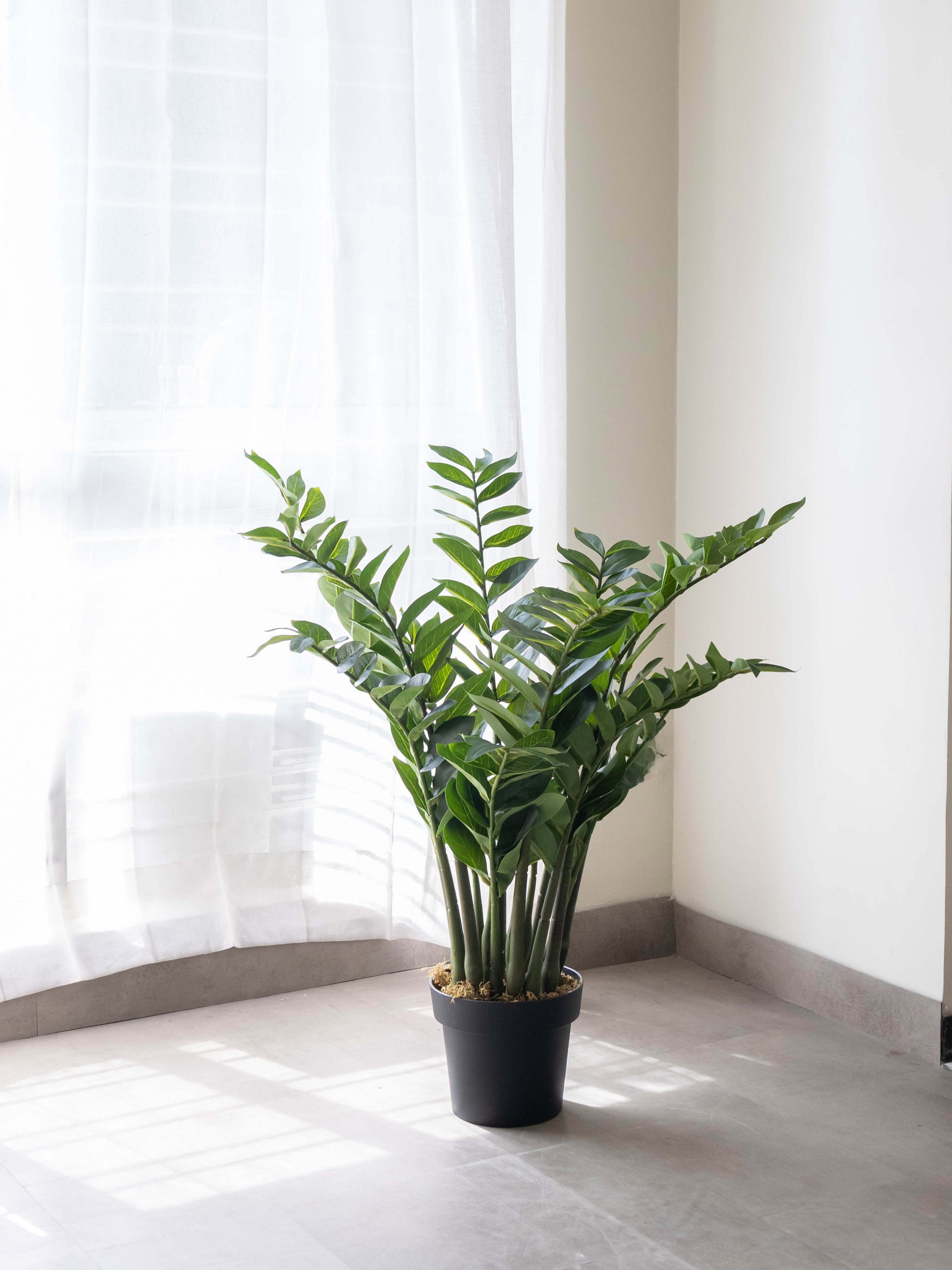Artificial ZZ Plant 3ft
