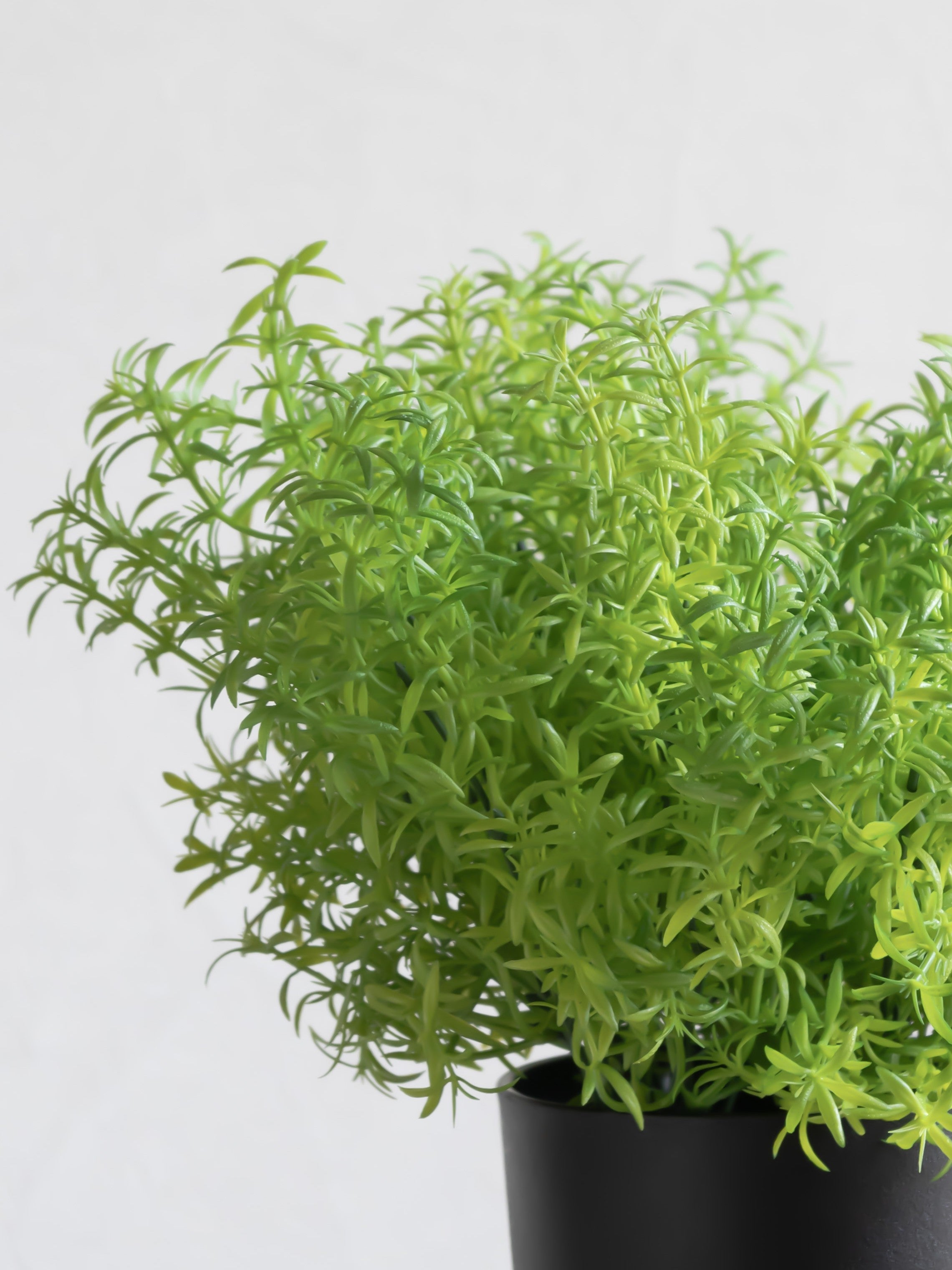 Artificial Grass Bunch (Set of 3)