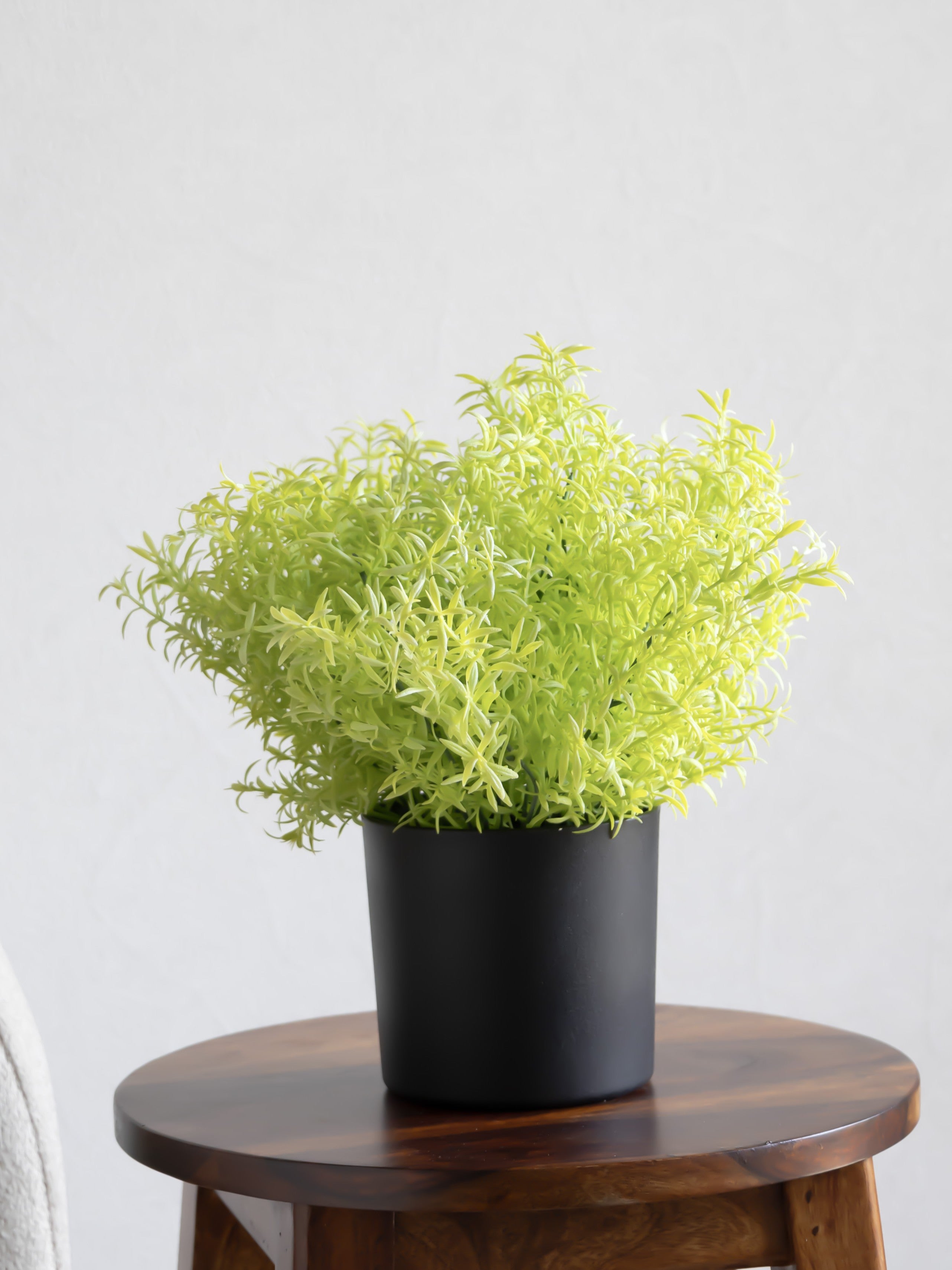 Artificial Grass Bunch (Set of 3)