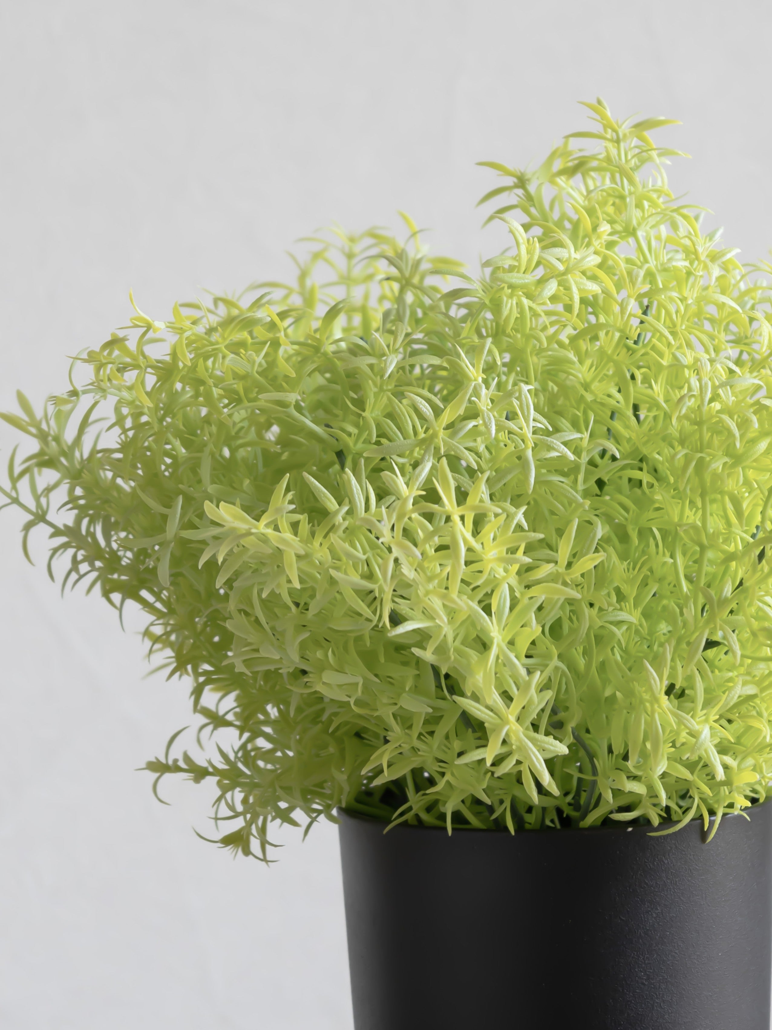Artificial Grass Bunch (Set of 3)