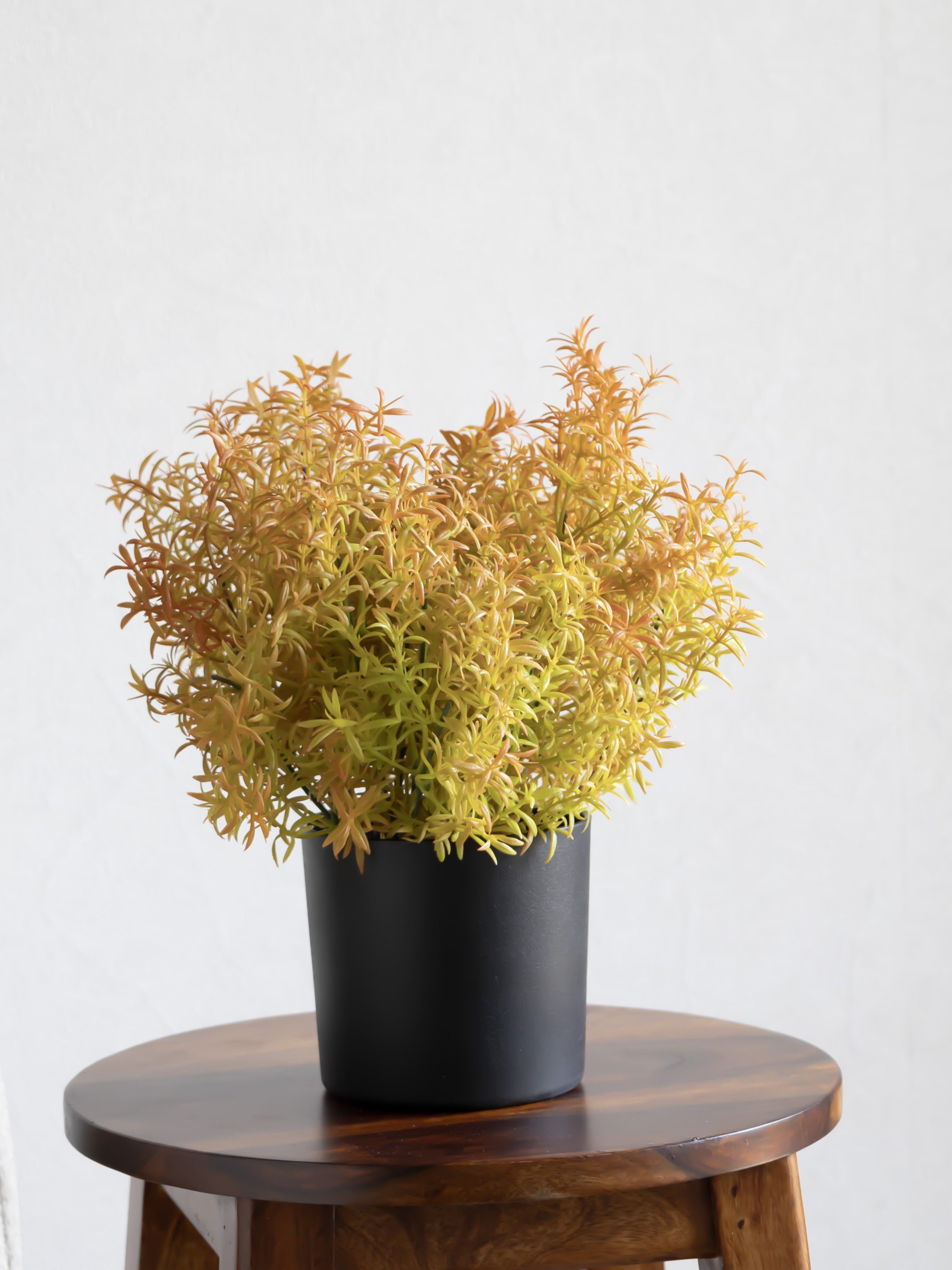 Artificial Grass Bunch (Set of 3)