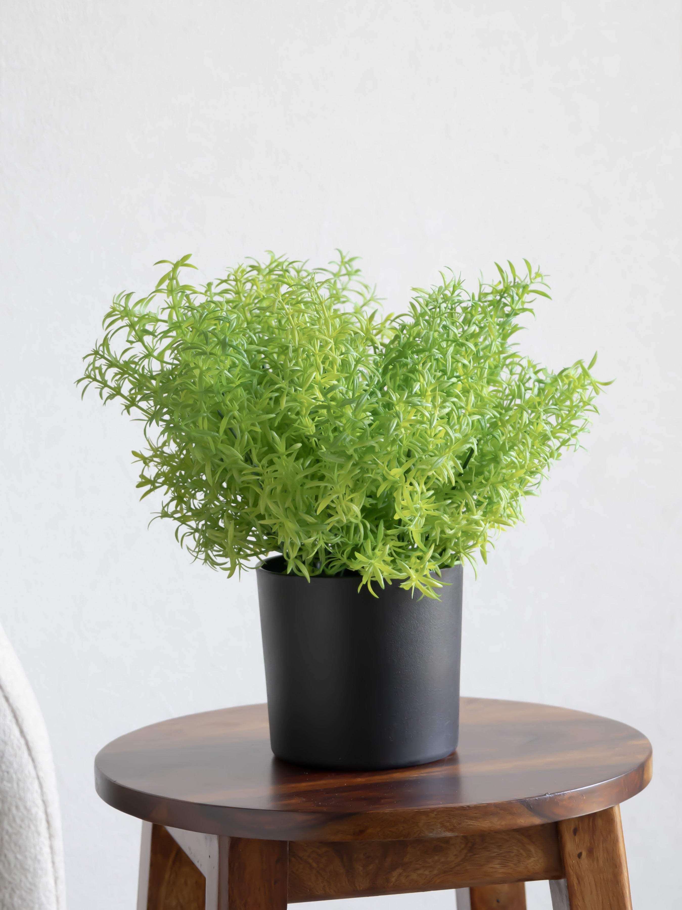 Artificial Grass Bunch (Set of 3)