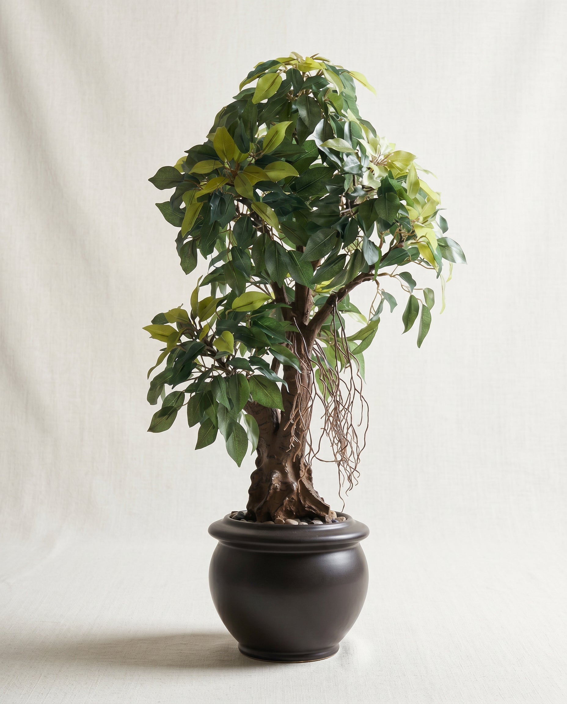 Artificial Green Ficus Leaf Bonsai 2ft