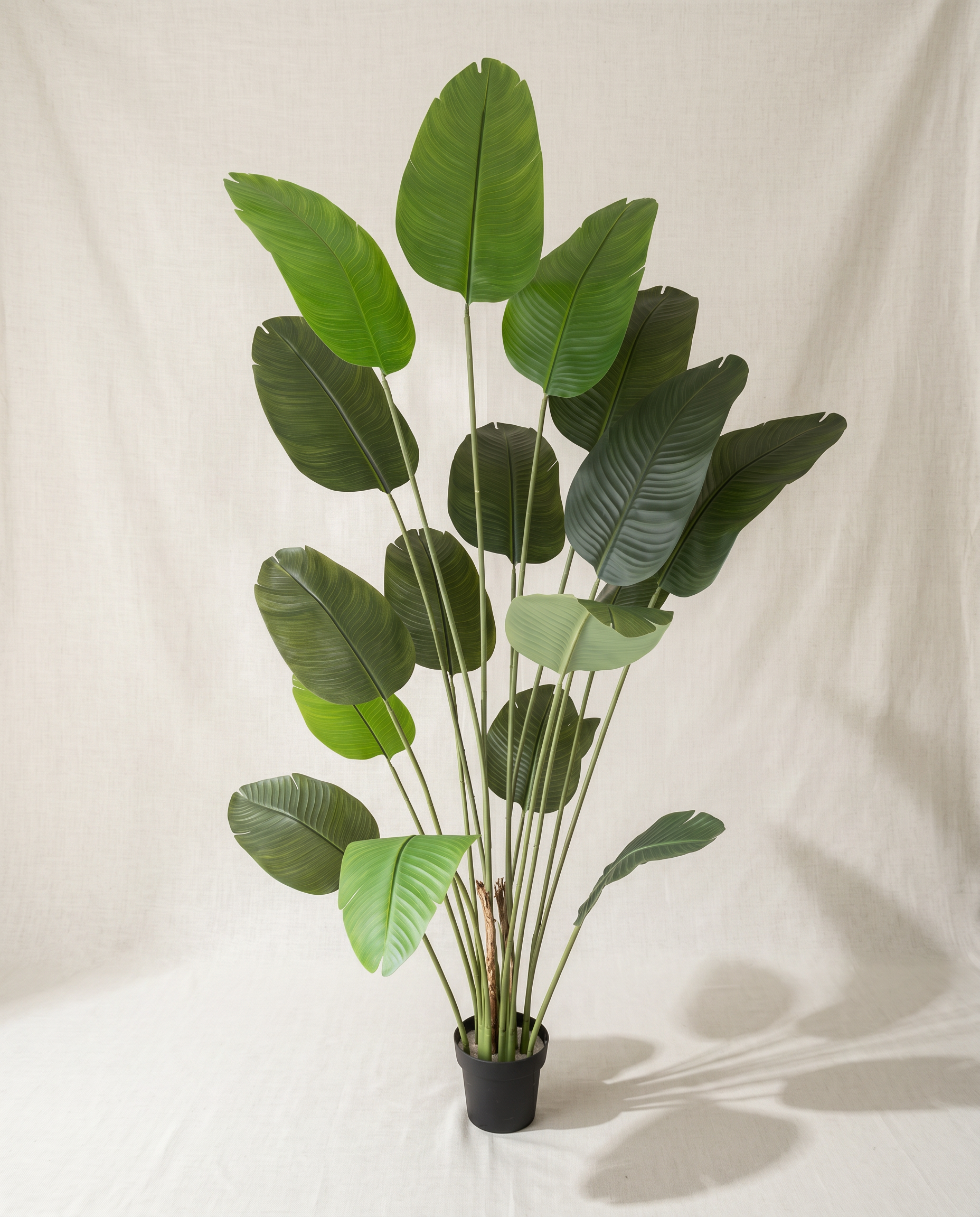 Artificial Travellers Banana Leaf Plant 7.3ft