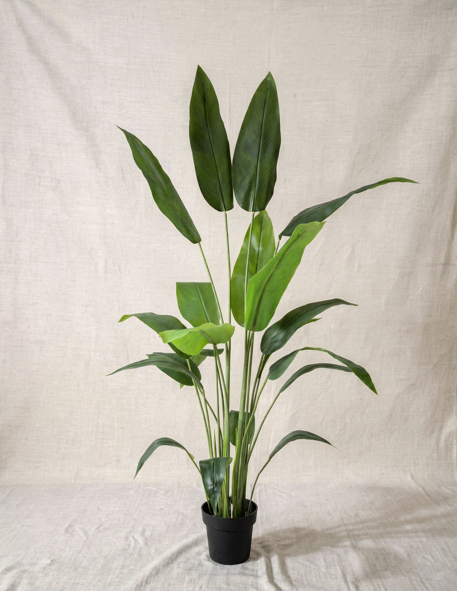 Artificial Bird of Paradise Plant 5.3ft