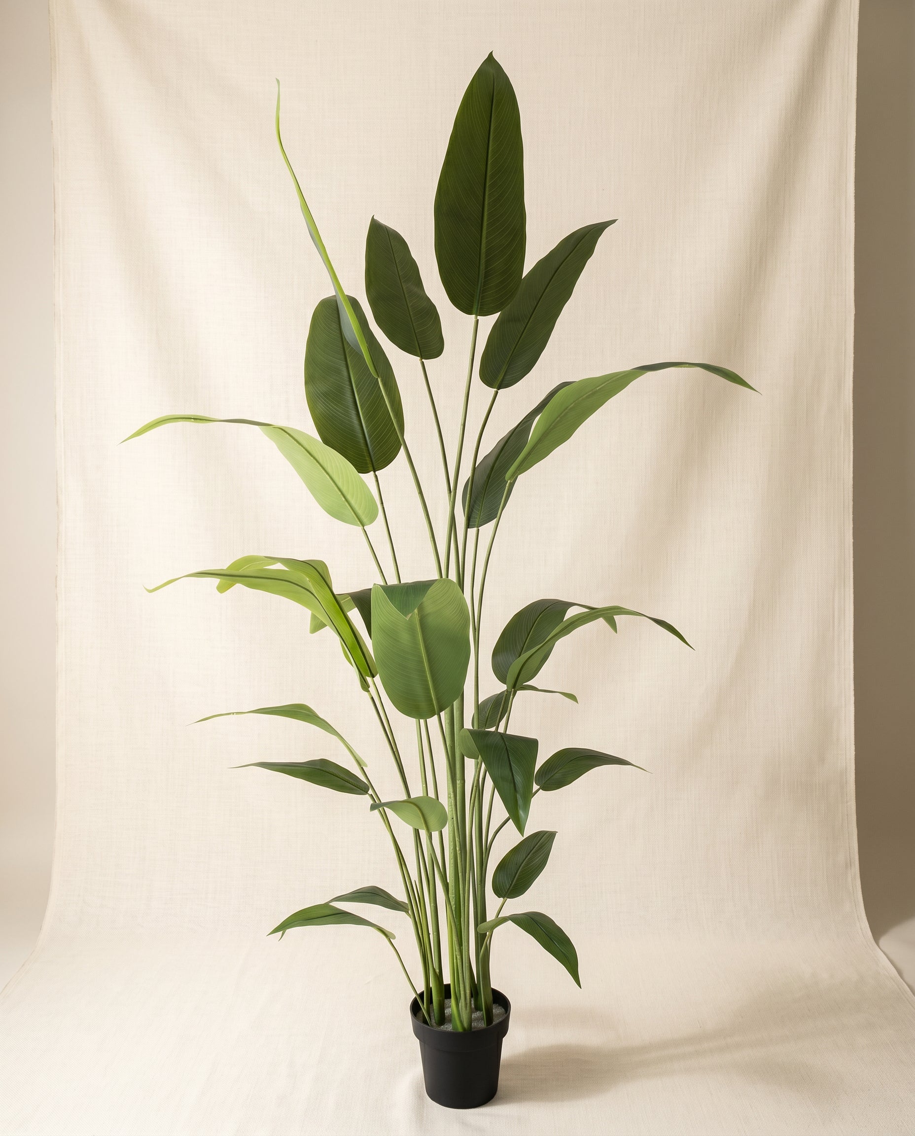 Artificial Bird of Paradise Plant 6ft