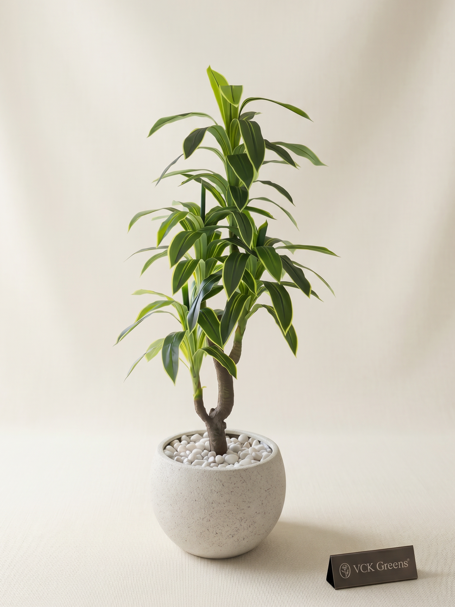 Artificial Variegated Dracaena Plant 6ft