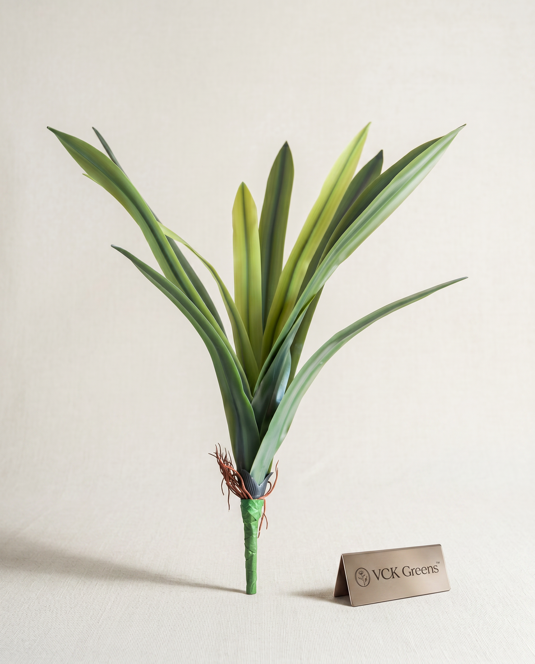 Artificial Amaryllidaceae Leaf Bunch 2ft