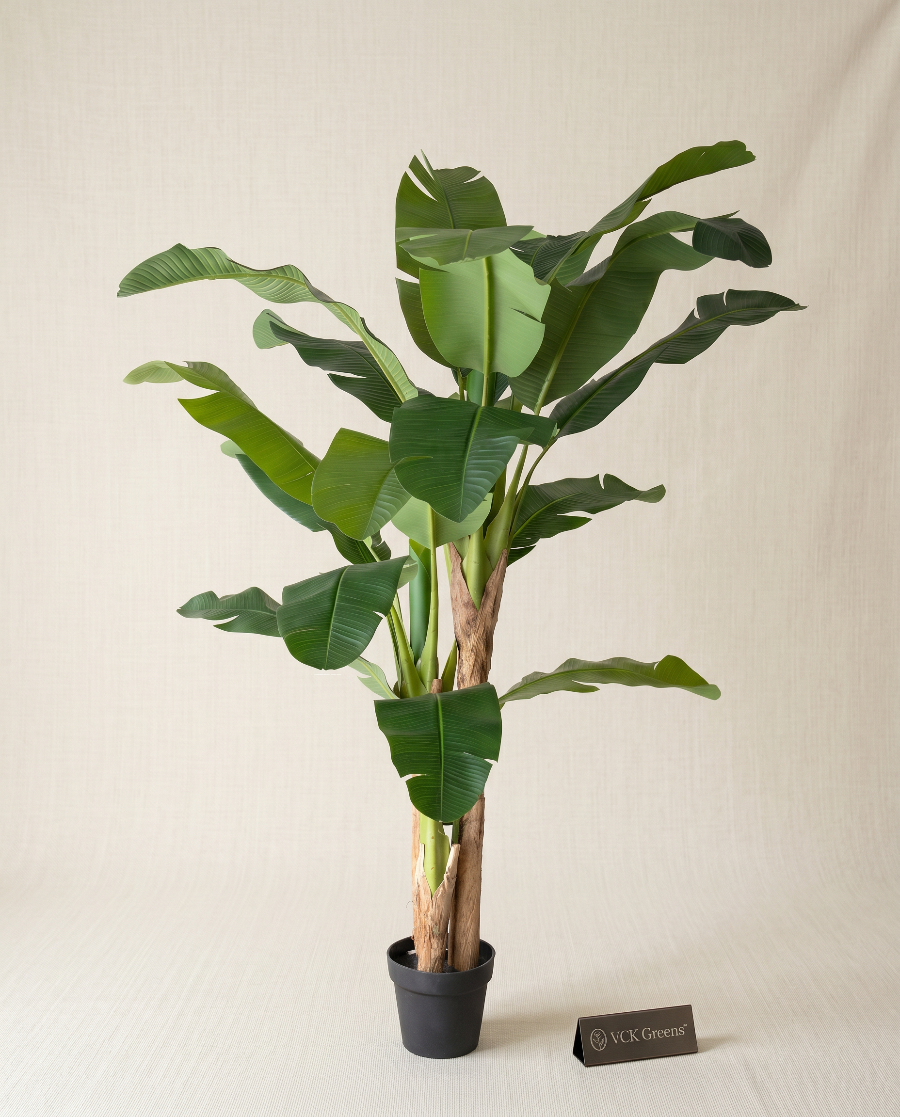 Artificial Tropical Banana Tree 6ft