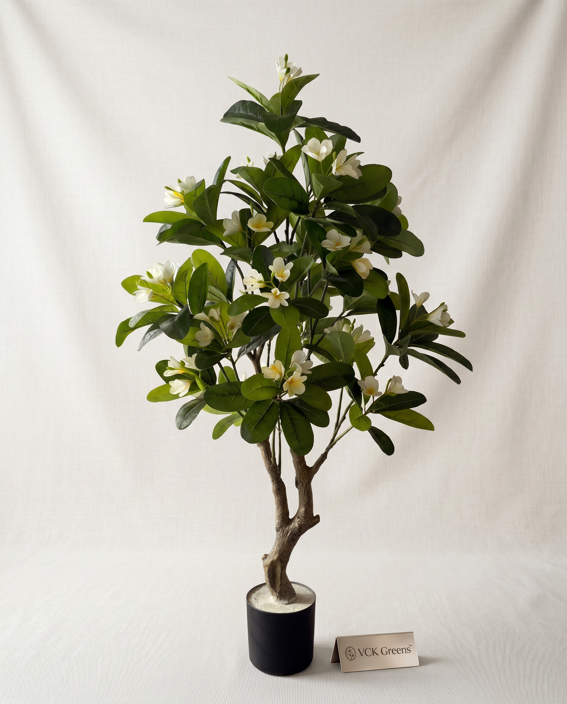 Artificial Frangipani Flower Plant 5ft