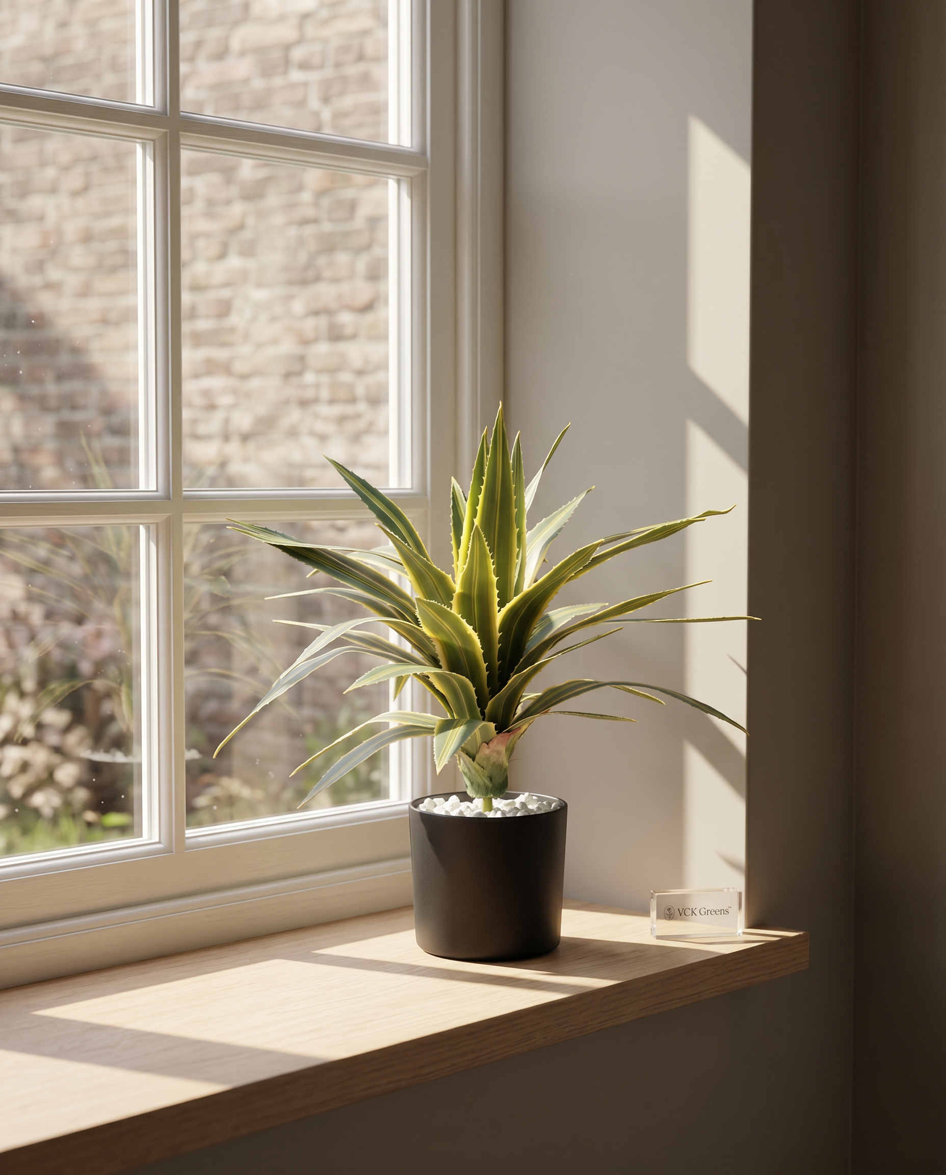 Real Touch Agave Lophantha Plant 1.3ft