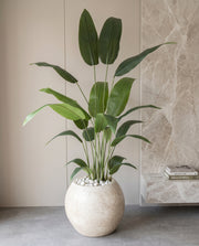 Artificial Bird of Paradise Plant 5.3ft