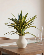 Real Touch Agave Lophantha Plant 1.3ft