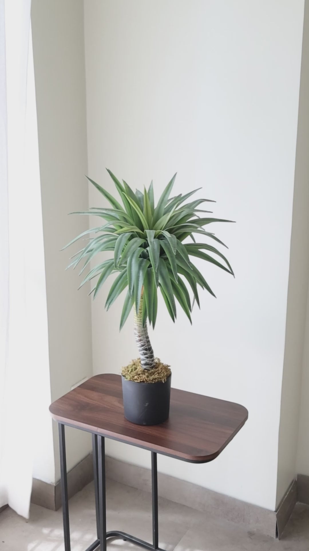 Load video: 