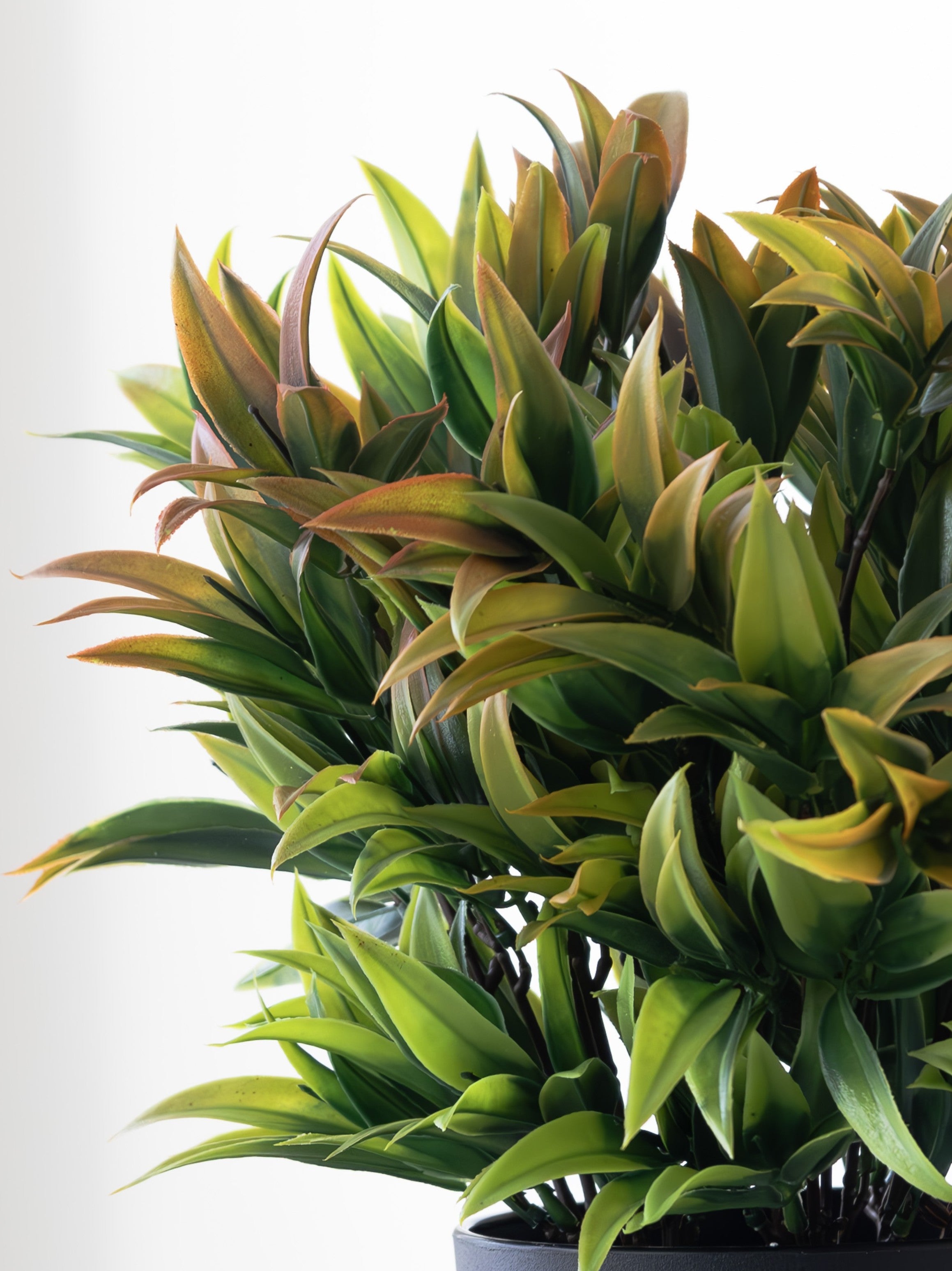 Artificial Yucca Leaf Bunches (Set of 2)
