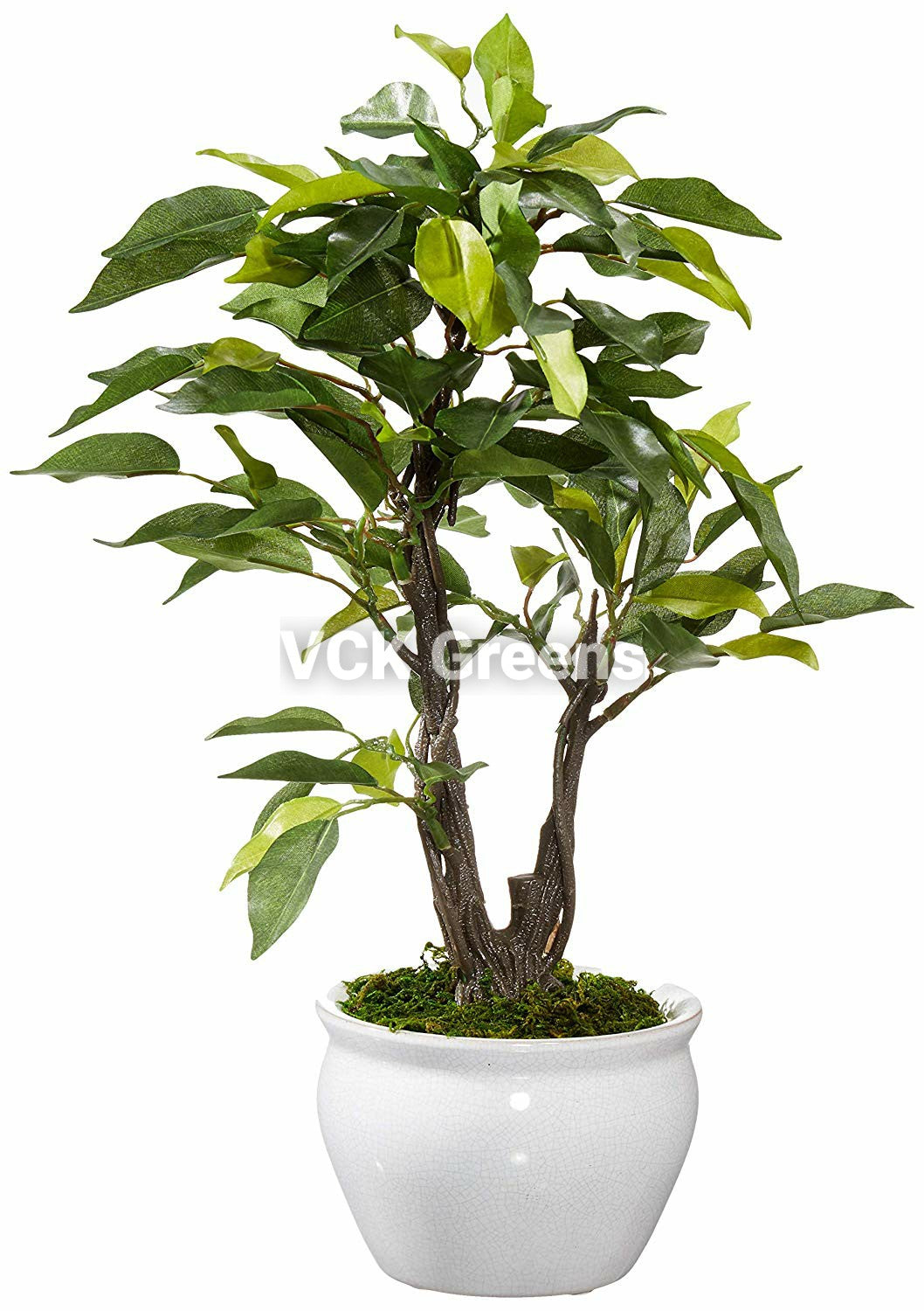 Artificial Real Touch Ficus Leaves Bonsai 1 Feet