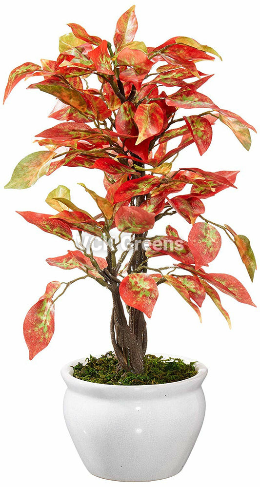 Artificial Real Touch Ficus Leaves Bonsai 1 Feet