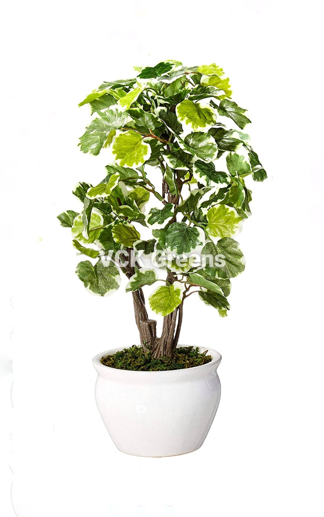 Artificial Real Touch Ficus Leaves Bonsai 1 Feet