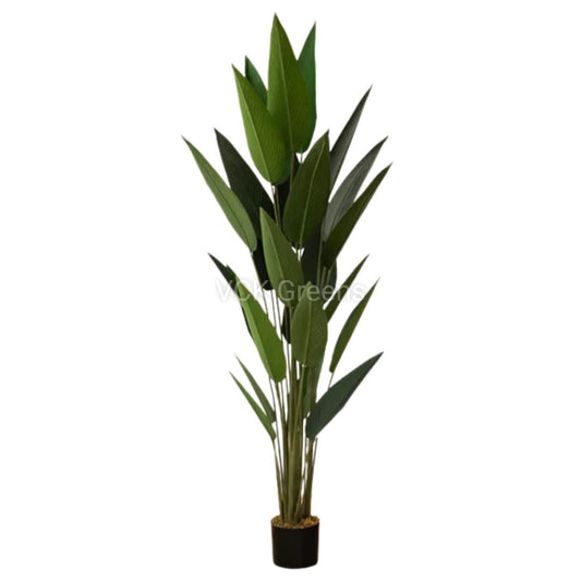Artificial Bird of Paradise Plant With Pot 6Ft