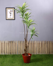 Artificial Cordyline Leaves Plant without pot (5.2 Feet)
