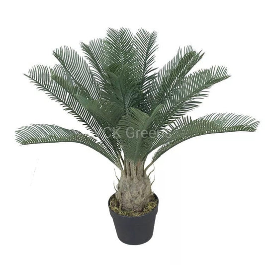 Artificial Cycas Plant With Pot 2ft