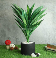 Artificial Dracaena Bush Plant Without Pot 1.5 Feet