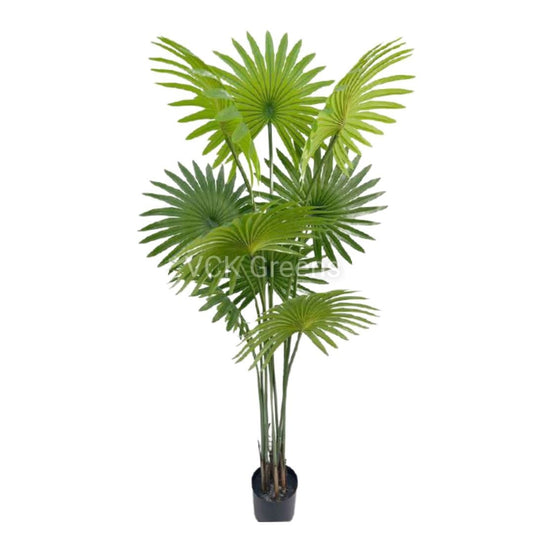 Artificial Fan Palm Tree 5.5ft With Pot