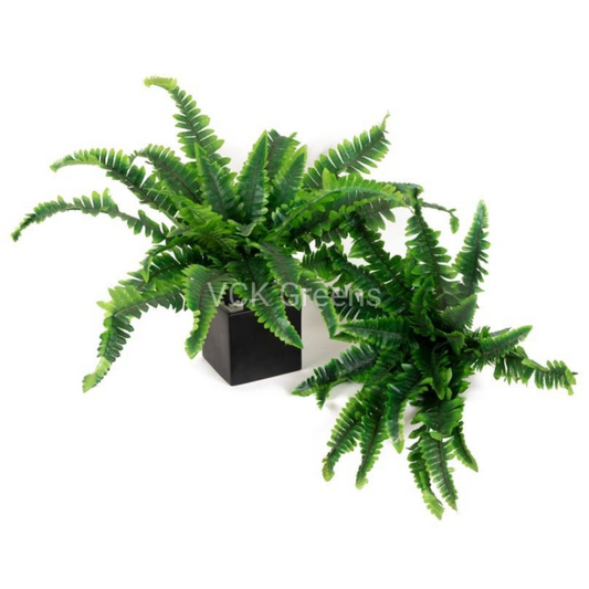 Artificial Fern X 24 Bunch 55cm