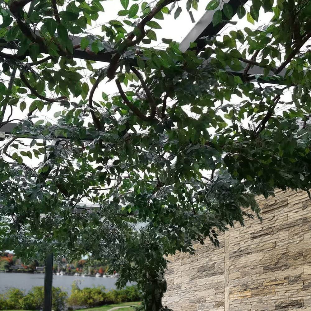 Artificial Ficus Leaves Stems (60cm Height)