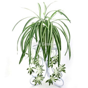 artificial spider plants hanging creeper bush