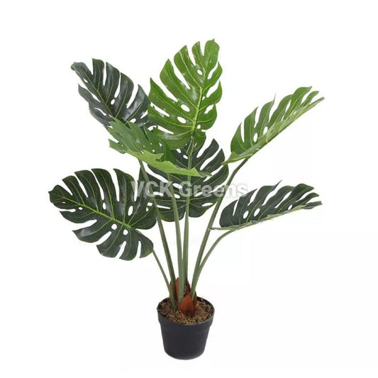 Artificial Monstera Plant 2.10 Feet With Pot