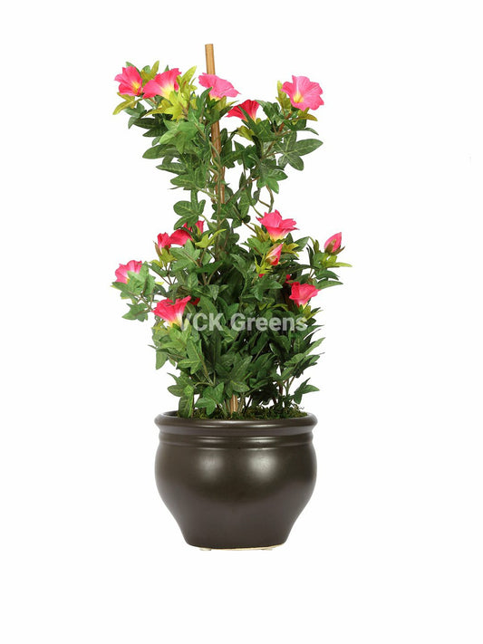 Artificial Morning Glory Leaves Bonsai With Vase 1.6 Feet