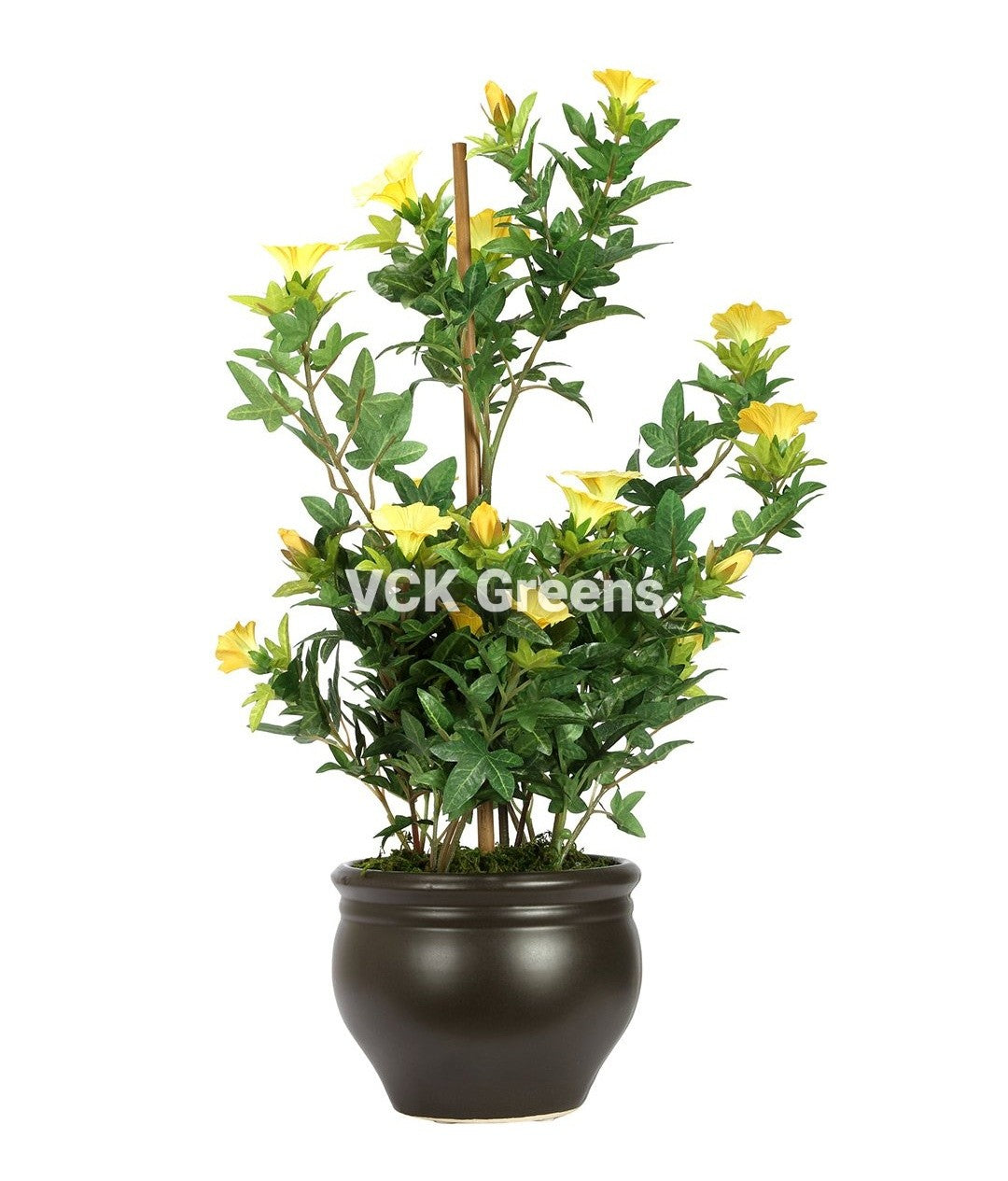 Artificial Morning Glory Leaves Bonsai With Vase 1.6 Feet