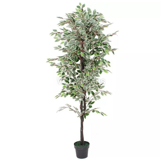 Artificial Variegated Ficus Tree With Pot 6 Feet