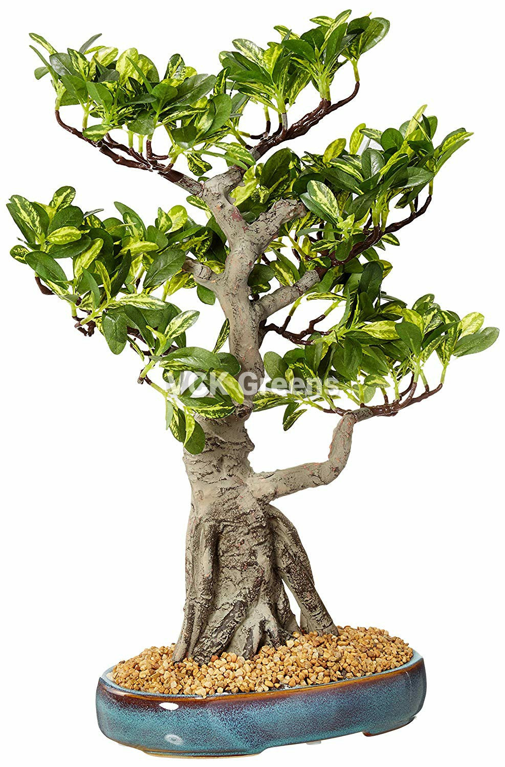 Artificial Schefflera Bonsai Plant with Ceramic Vase (1.6 Feet)