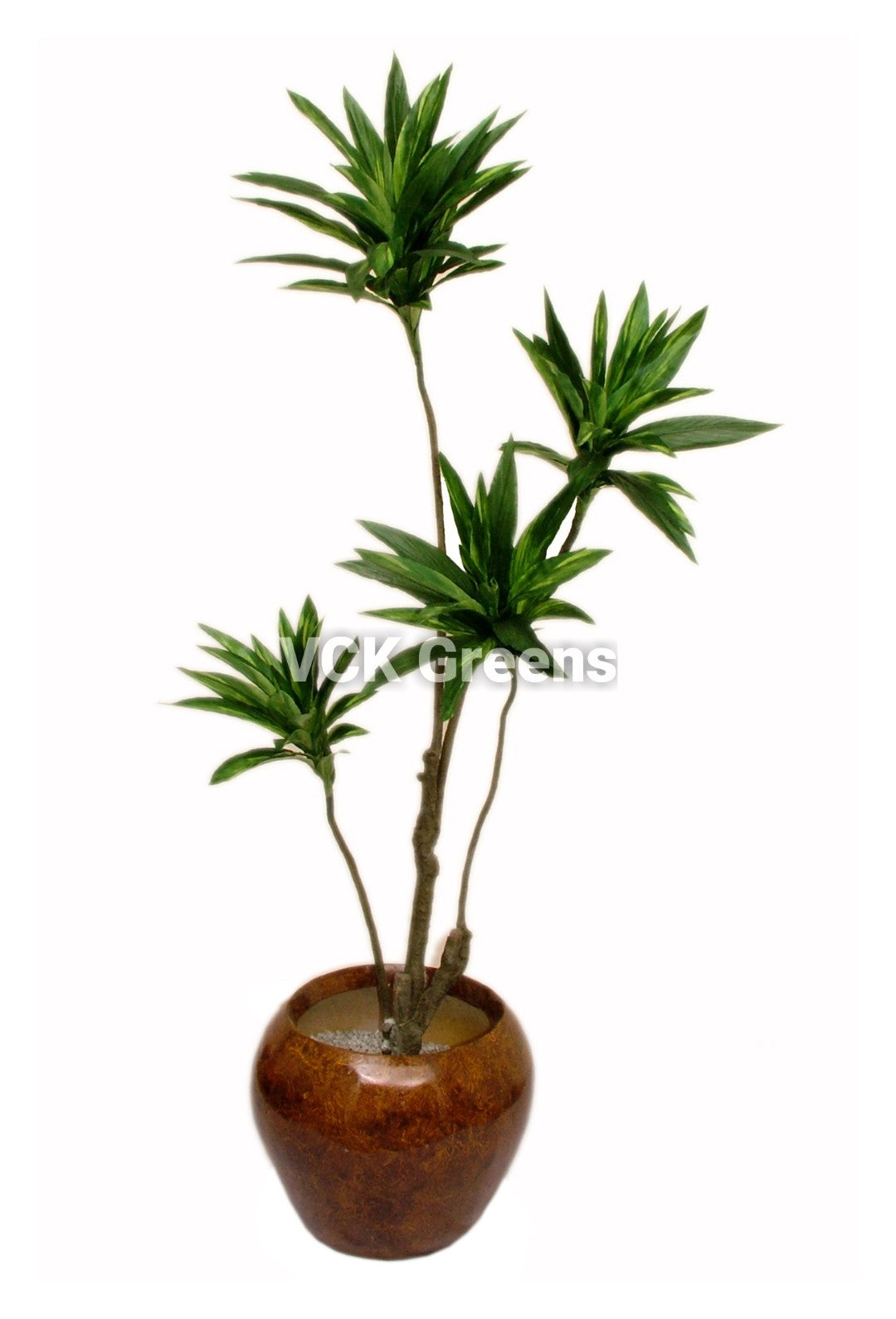 Artificial Cordyline Leaves Plant without pot (5.2 Feet)