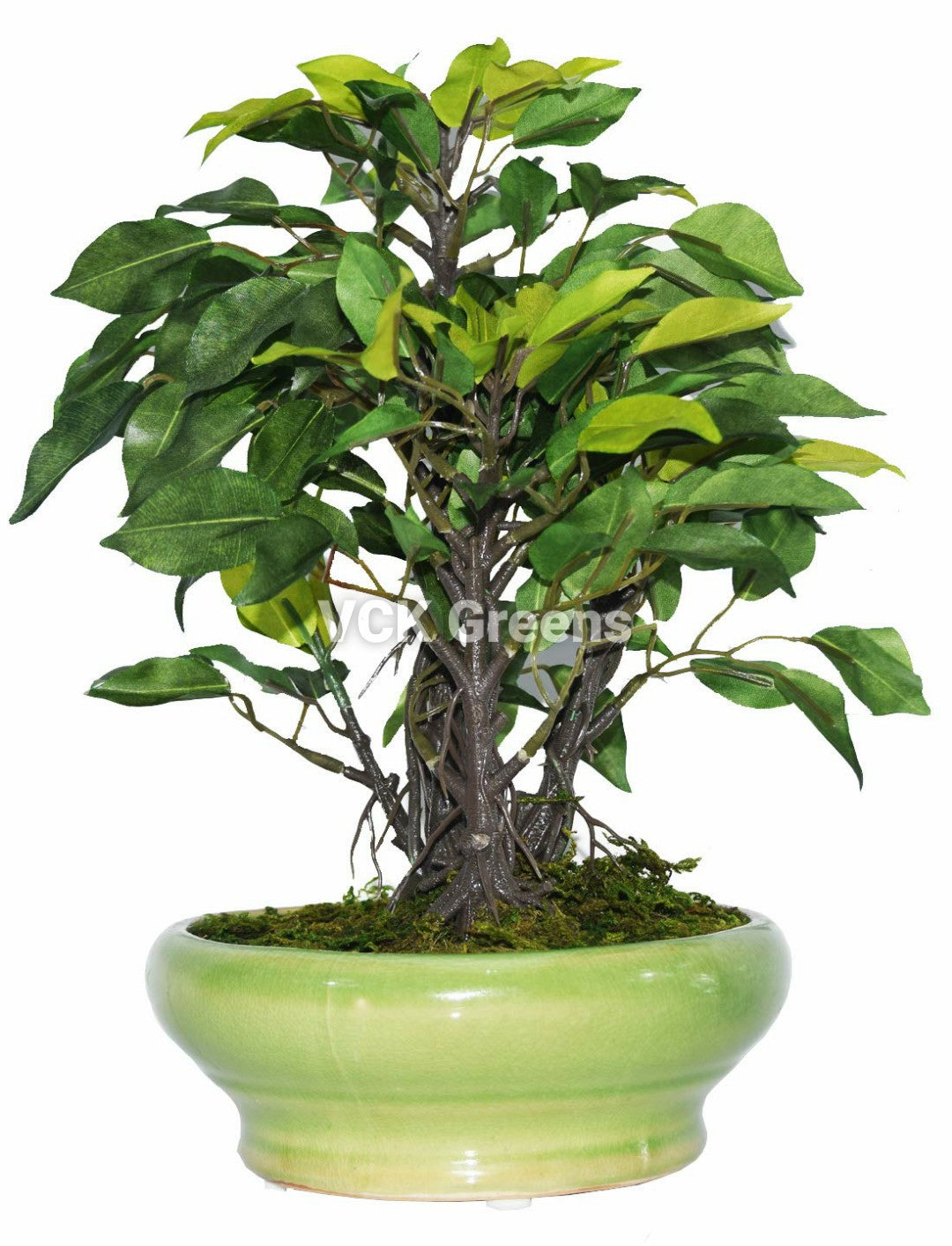 Artificial Ficus Leaves Bonsai 1 Feet