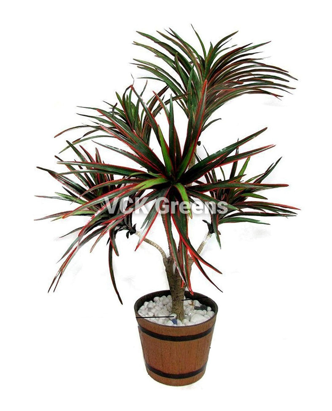 Artificial Yucca Plants