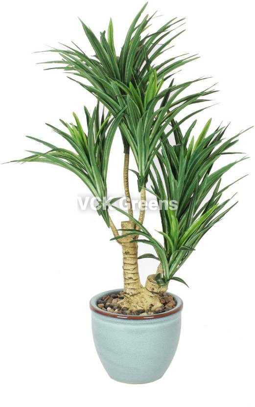 Artificial Yucca Leaves Bonsai with Ceramic Vase (2 Feet)