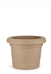 Jaguar Las Vegas Pot