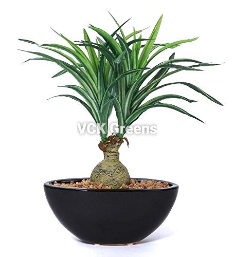 Artificial Nolina Leaves Bonsai with Ceramic Vase (1 Feet)