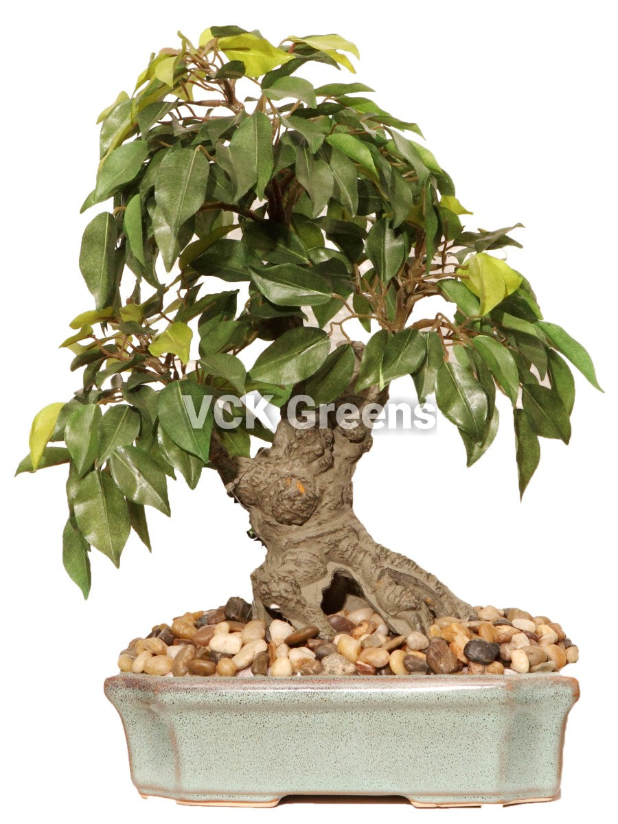 Artificial Ficus Leaves Table Top with Ceramic Vase