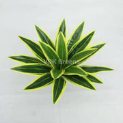 Artificial Plants Leaves Bushes (60cm)