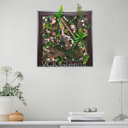 Artificial Natural Look Stones With Leaves Wooden Wall Frame Panel (Design 10)