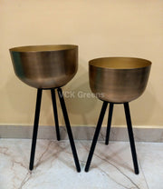 Golden Color Metal Planter (Set of 2)